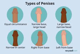 26 Types of Penises and Various Conditions