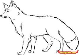 3.draw the outline of the fox's body. How To Draw A Red Fox Step By Step Forest Animals Animals Free Online Drawing Tutorial Added By Dawn April 16 2010 10 35 4 Fox Drawing Red Fox Drawings