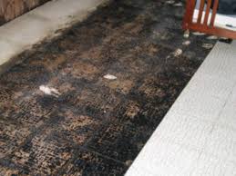 I stopped by corvin's floor coverings in elizabethtown — it was a surprisingly big store, and they were very nice — and i shutterbugged away. Flooring Products Mesothelioma Lawyers Law Firms Lawsuits Attorneys Claims
