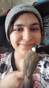 People2 — Aaron Shafer