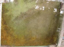 Homemade Concrete Stain Recipe Old Steps And Old Pavers This Summer You Will Get New Life Stained Concrete Concrete Diy Concrete Crafts