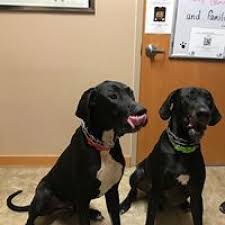 Welcome to for pets' sake veterinary clinic! For Pet S Sake Veterinary Clinic Sturtevant Wi