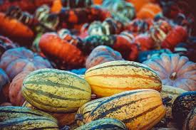 Hairballs in cats can be relieved by pumpkin through the same mechanism as it relieves constipation. List Of Pumpkin Types To Grow Eat Decorate With And Carve Clean Air Gardening