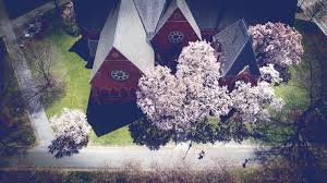 March  April 2024 - Cornellians | Cornell University