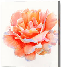 Pin De Renee Hatton En Peony Watercolors Arte Rosa Flores Pintadas Pintura Floral