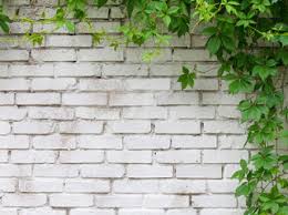 Aktuelle preise für produkte vergleichen! 26 442 Brick Ivy Fototapeten Leinwandbilder Und Aufkleber Wallsheaven