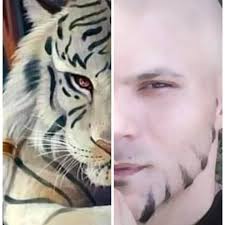 THE KNOCKOUT KING DOES IT AGAIN! Derrick Lewis gets the 3rd round KO at  #UFCStLouis