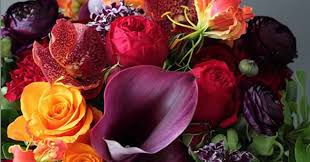 Flower delivery costa mesa is a 24/7 online local flower shop based in costa mesa, ca. Flower Delivery By Floristmarketplace Of Irvine Florist Marketplace