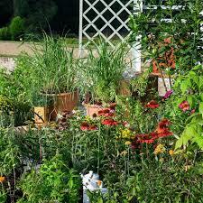 The 2024 Beautiful Borders at BBC Gardeners' World Autumn Fair