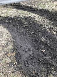 Free flower delivery by top ranked local florist in virden, il! Flowers Sanitation Service 900 W Fortune St Virden Il Junk Removal Mapquest