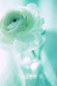 750x1334 aesthetic background inspirational wallpaper #quotes ( credit to>. 14 Teal Aesthetics Ideas Teal Aqua Turquoise Shades Of Turquoise
