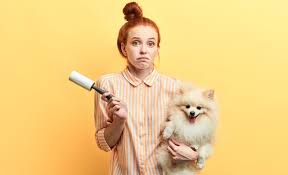 16 clever cleaning hacks 1. 7 Hacks To Get Dog Hair Off Clothes In The Washer Or Dryer