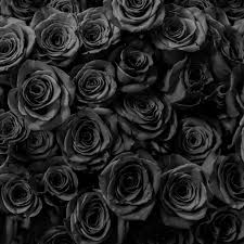 Black wallpapers, backgrounds, images 3840x2160— best black desktop wallpaper sort wallpapers by: Black Roses Gift Anniversary Ipad Wallpaper Hd Ipad Wallpapers 4k Ipad Wallpapers 5k Free Download Ipad Pro Ipad Mini Ipad Air Ios Ipados Parallax Ipad Retina Wallpapers