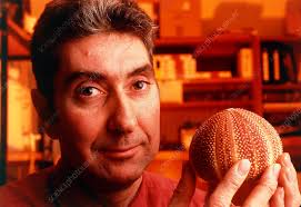 Professor Stephen Mann, British chemist