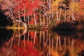 This beautiful texas state park. Lake Bob Sandlin State Park Pittsburg Texas Us Parkadvisor