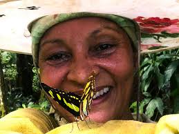 Fundraiser by Raven Hutchinson : Support Our Sustainable Community Farm in  Puerto Rico