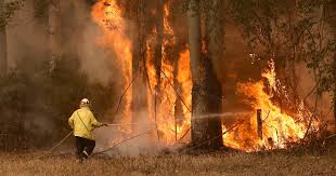 Viagens a algarve | última hora. Interior Norte E Centro E Alguns Concelhos Do Algarve Em Risco Maximo De Incendio