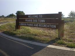 prairie dog town recreation in lubbock texas prairie dog town prairie dog lubbock pinterest