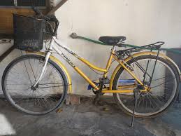 Ada saja beberapa hal yang butuh satu diantara seri dari sepeda gunung phoenix yang cukup disukai yaitu fashion 177 karna sudah di dukung frame memiliki ukuran 26 inci dari steel kuat. Sepeda Phoenix Citybike Fashion Cewek Keranjang Fixie Bicycle Gunung Onthel Olah Raga Sepeda Di Carousell