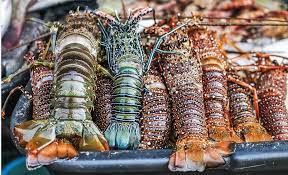 Bercuti di kota kinabalu, sabah memang menjadi impian warga semenanjung. 14 Tempat Makan Wajib Di Kota Kinabalu
