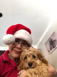 Why do cavoodles change color as they grow?