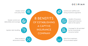 When looking for the right insurance company to suit your needs, you will have to sift through different insurance companies until you find the one with the right. Key Benefits Of Establishing A Captive Insurance Company Ocorian