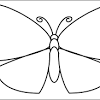 Make a coloring book with butterfly blank for one click. 1