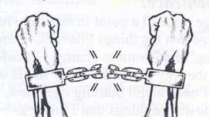 Check spelling or type a new query. Petition Amend The 13th Amendment Change Org