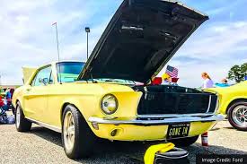 Image result for Sunlight Yellow 1964 Mustang