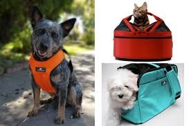 Maybe you would like to learn more about one of these? Be Thankful For Sleepypod S Thanks Giveaway Petguide