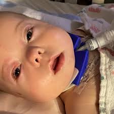 Fundraiser by Samantha Hankins : Get Watson Back Home