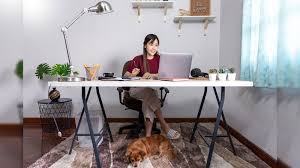Flexible working hours (weekdays and weekends). Five Ways To Cope With Stress While You Work From Home