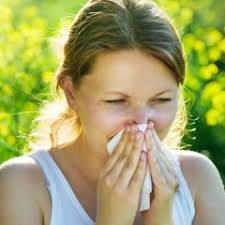 Listen to playlists featuring The Lymphatic System