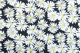 Billabong womens medium black white floral print lace up v neck short sleeve top. Floral Print Black Yellow White Multi Spandex World