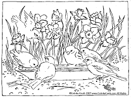 Select from 36013 printable coloring pages of cartoons, animals, nature, bible and many more. Bird Coloring Pages For Adults Coloring Home