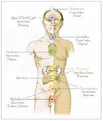 Why You Need To Know About Your Chakras