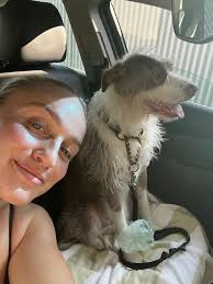 Anyone knows affordable places to rent a scooter for the whole season?  Tried Ok Mobility and Turbo but the price is €300-€350 per month