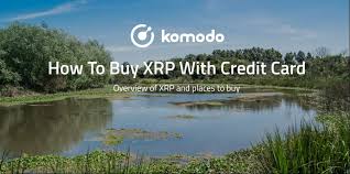 We did not find results for: How To Buy Xrp With A Credit Card
