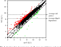 Node.js based onvif camera/nvt software that turns a raspberry pi, windows, linux or the next goal (by @rogerhardiman) was to implement more of the onvif standard so that rpos could. Figure 1 From Rpos Regulation Of Gene Expression During Exponential Growth Of Escherichia Coli K12 Semantic Scholar