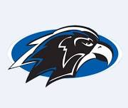 Frontier Volleyball Stadium Game