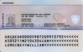 auslanderrechtliche bewilligungen kanton zurich