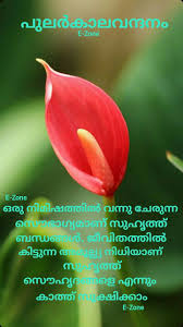 Pin By Ummer Pallathan On Good Morning Malayalam Good Morning Wishes Morning Wish Malayalam Quotes