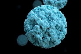 Treatment is mainly supportive, with a goal of preventing dehydration. How Highly Contagious Norovirus Infection Gets Its Start Washington University School Of Medicine In St Louis