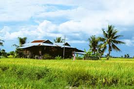 Maybe you would like to learn more about one of these? Prefervillagelife Hashtag On Twitter