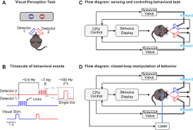 Connect tester across burned out fuse. A Novel Device For Real Time Measurement And Manipulation Of Licking Behavior In Head Fixed Mice Journal Of Neurophysiology