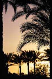 A cadix (andalousie), au château de santa catalina, le soleil se couche au son du flamenco, de la poésie et a chiclana, un bateau part tous les soirs pour apprécier le coucher du soleil sur l'îlot de sancti petri et de son château, du 1er juin au 30 septembre. Photo Tout Savoir Sur Le Lever Et Coucher De Soleil Dunod