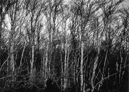 Specularita Surreale Surrealismo Camera Oscura Stampe
