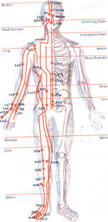 The 12 Meridians