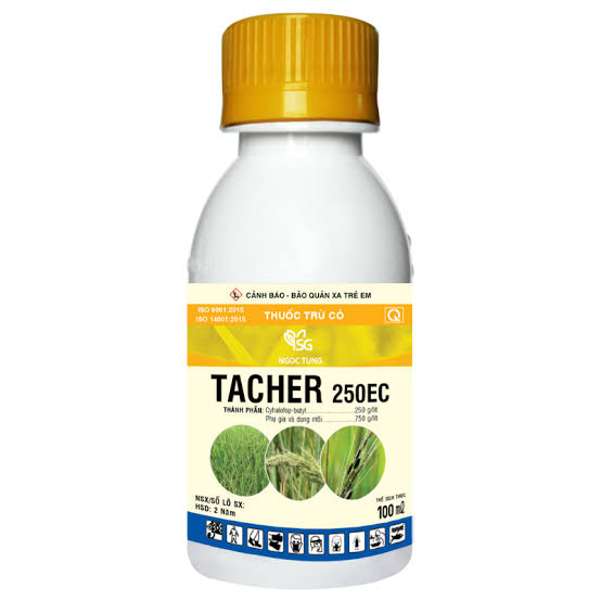 Tacher 250EC