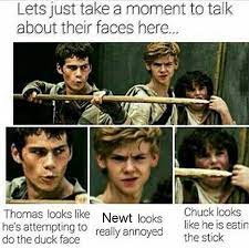 Pin By Madi On Maze Runner Maze Runner Funny Maze Runner Maze Runner Trilogy